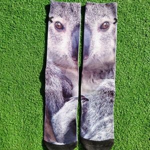 Odd Sox Animal Australia Koala Bear Smooth Blend Pique Crew Socks Mn's 6-13 New